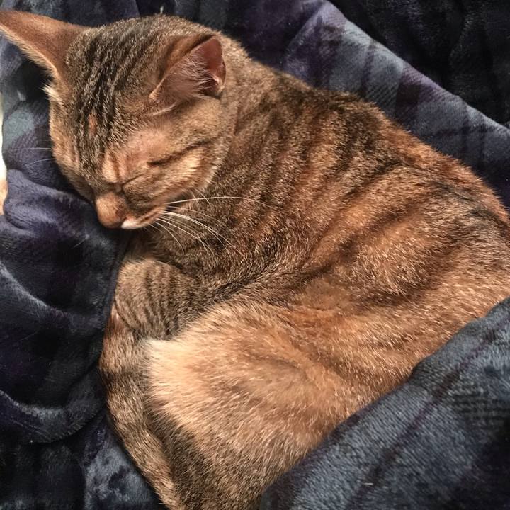 A525f074 9ae9 411d ab0f 3fc1eee03f31 1586615419675