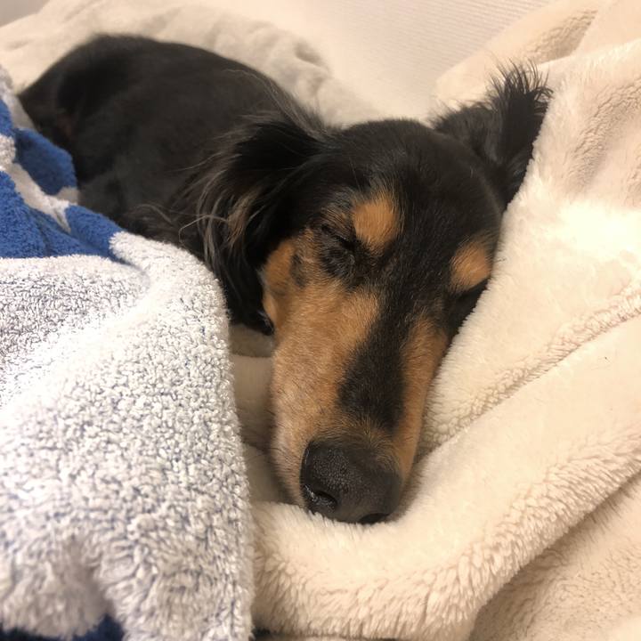 A52640f1 7d1c 4111 9087 4f904903c8ff 1588778126481