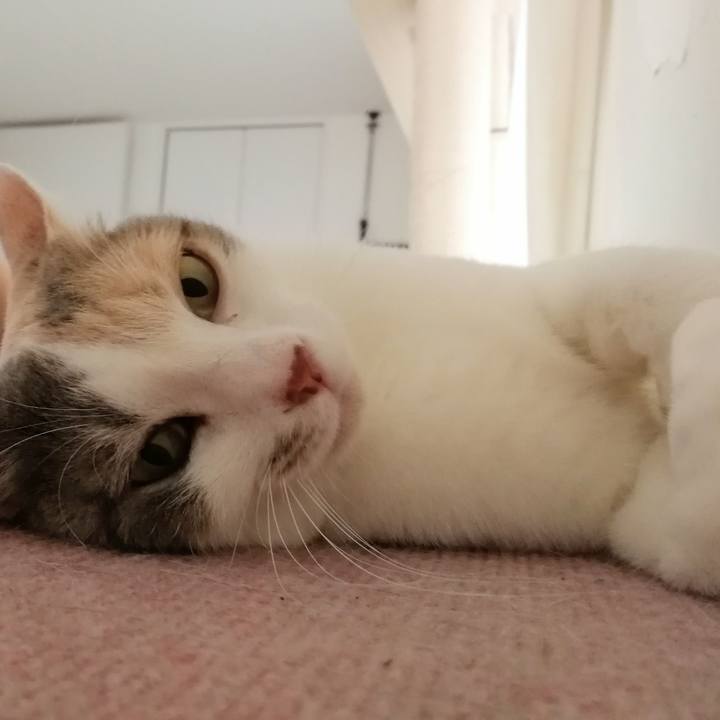 A5266a99 7094 4348 b014 47537ee88745 1561026898870