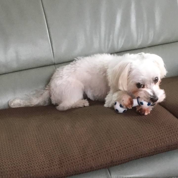 A5266c4a dcf0 4715 9d0f 0d47ef3396f4 1511141788452