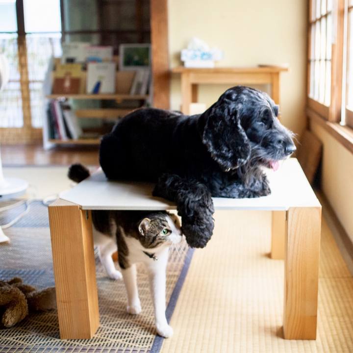 A526a1c4 4b39 4c1d b461 b5043b099058 1565253553511