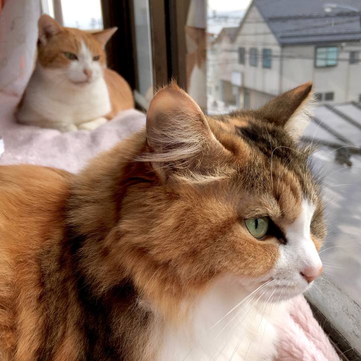 A52792d0 7bfa 4b96 865a b57b3fa9c4d5 1576134277254