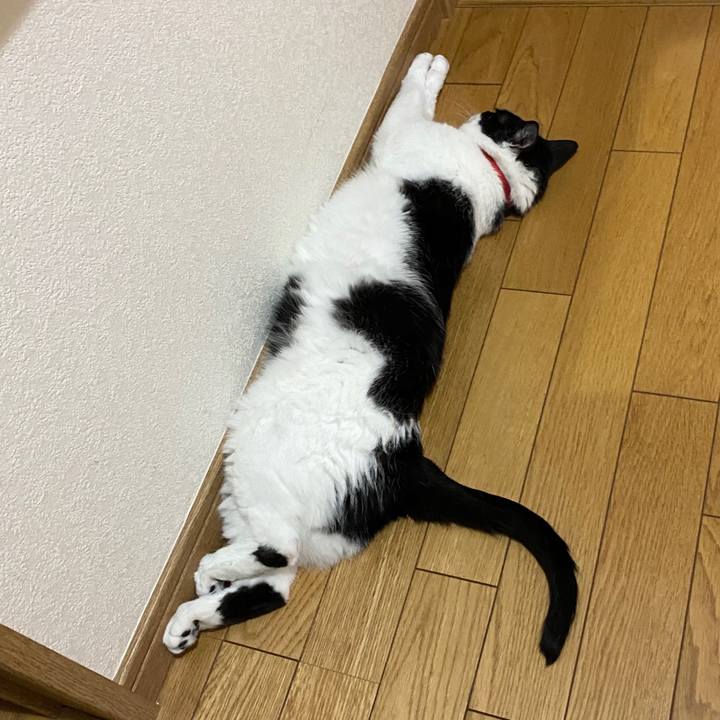 A52792e3 43e1 4e32 b703 c41bd17381a9 1597884070813