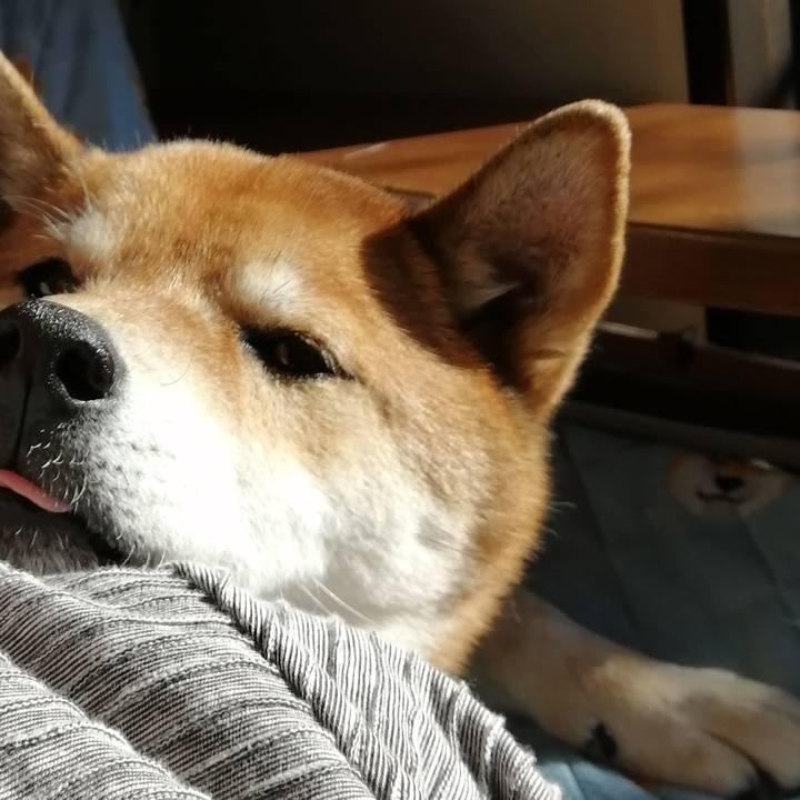 A527ca6c 5aae 4477 b1b4 f954265f5c1c 1609760251377