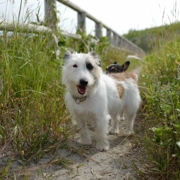 A527fc51 4565 47eb 82a9 82a07a3884b7 1528603983883