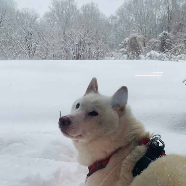 A528009a 43f9 4631 9f61 8758b8f409cd 1609112506601