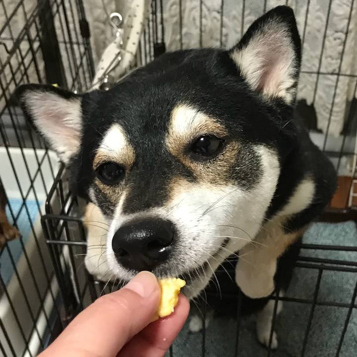 A528212b e87c 4b6d bf3e 3e0bcce387ba 1509710549154