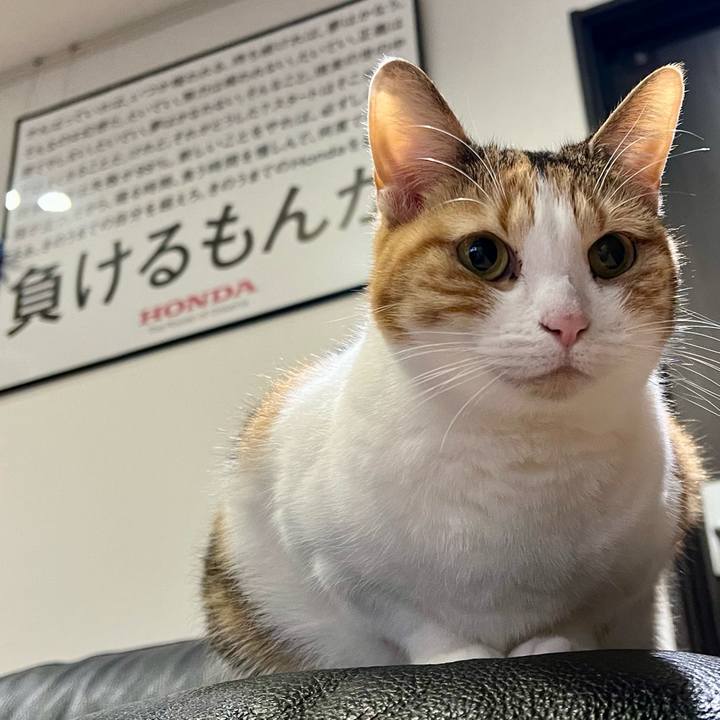 A5283226 6437 402c a1b2 52354846f821 1768274626100