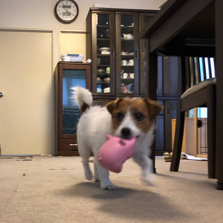 A52841e7 f232 4d3d 9d58 47d9b44e5e07 1529181898973