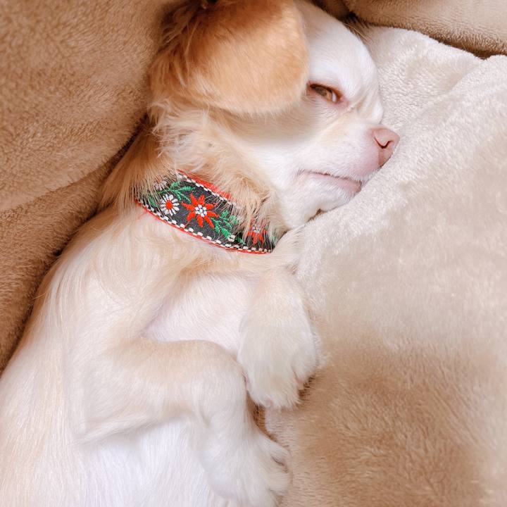 A528747a a9da 49b5 84b4 6181828665dc 1667645883469