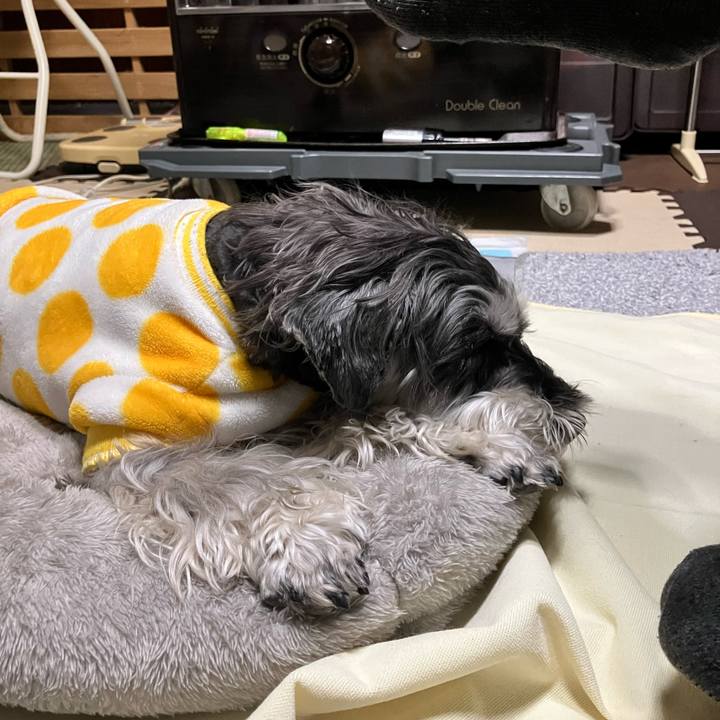 A528800d a81b 4fd0 bd88 0f0d1e0d0b1e 1772799874479