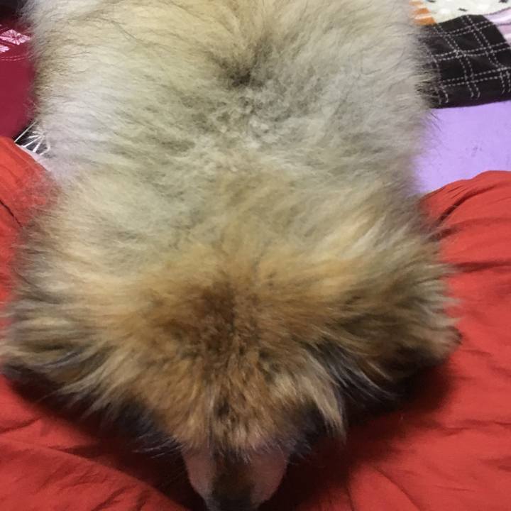 A5289784 bc44 4eae af6d b64362d552a3 1564422168482