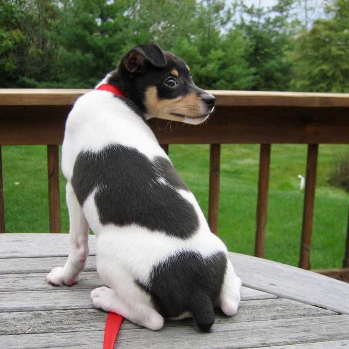 A528b01b 1629 43b1 891c 24a80255ceff 1763416625569