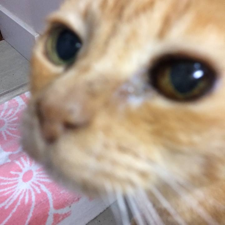 A528bd80 c383 4fb6 9b12 dee13bbc2f57 1538436025968