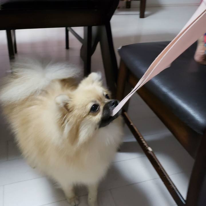 A528be7a b0ff 41f6 ac54 fc4e458f1dd6 1627296636027