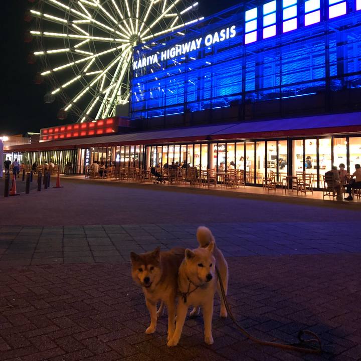 A528e0bf 29fe 409d 8722 ae31ec074e08 1537794868767