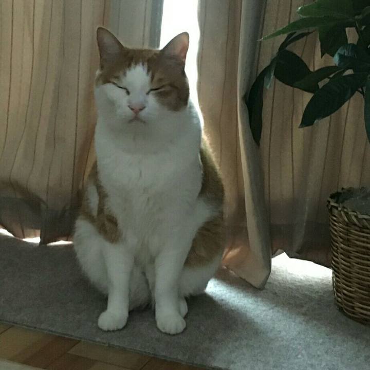 A528e2e9 e683 4d82 bf9a ab7b4721aeb9 1508917765335