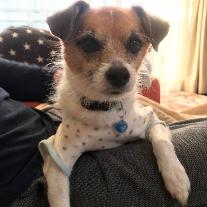 A528edcd e408 43bc a146 ef03c341cc7a 1515191468991