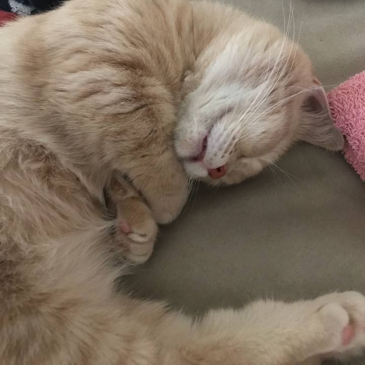 A5290f53 ff4b 45b2 9ff7 ddf9f6ed73cd 1522068452894