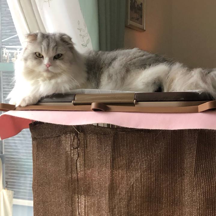 A5291320 f1ab 415a b9f7 d677447be56c 1665788199176