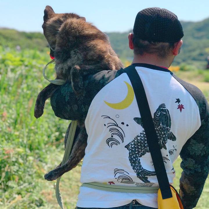 A52933a5 b312 40a9 83f4 550620753f7a 1528006147479