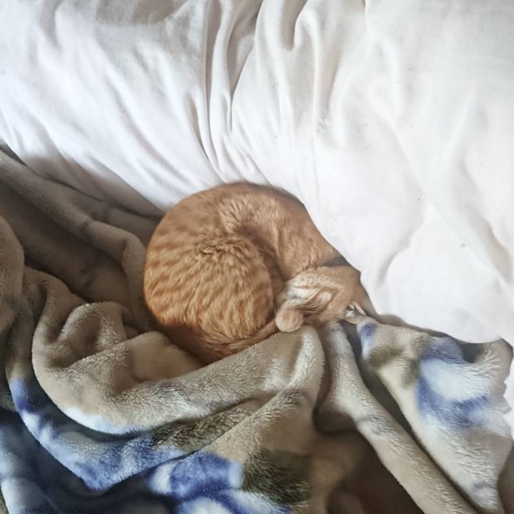 A529c6d8 836b 4380 9e1d d74d6002e6df 1649727501882