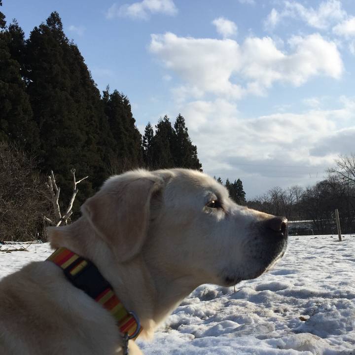 A529ca33 78d0 443e adae 7341f4a3a7af 1521613659467