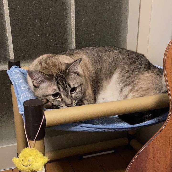 A52a033e ff51 42cd bdf3 9353849b284a 1691543915201