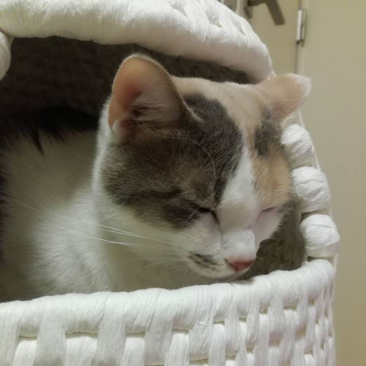 A52a036d 974a 4018 95de a0bc30c5111e 1525919814462