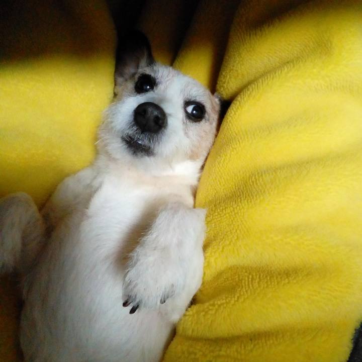 A52a1621 81a5 48ce a060 d7d00eb6a6e6 1581599376332