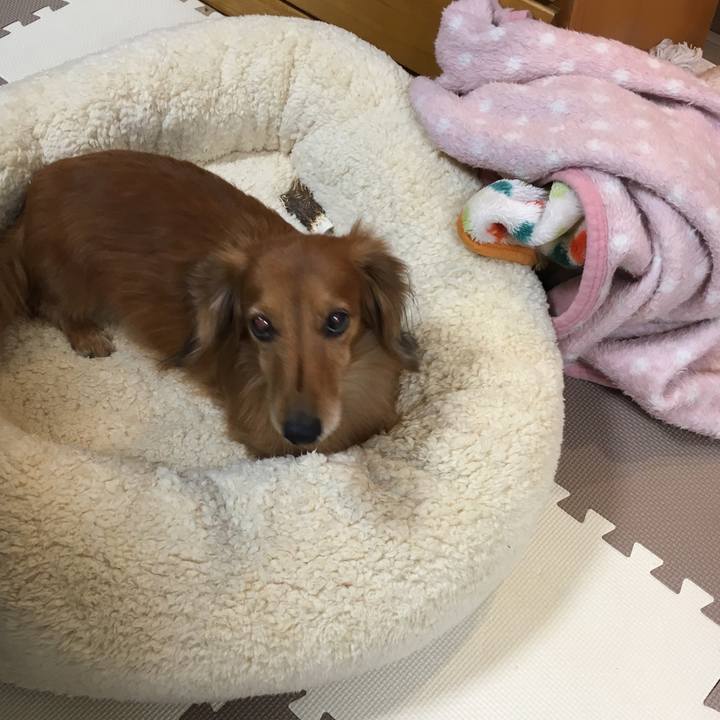 A52a21d2 541b 4dd3 adc6 db18e9dfa027 1545230583443