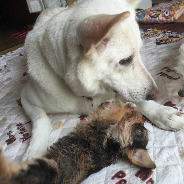 A52a302d 521d 402e b69c 0adf9d4dba61 1564751244002