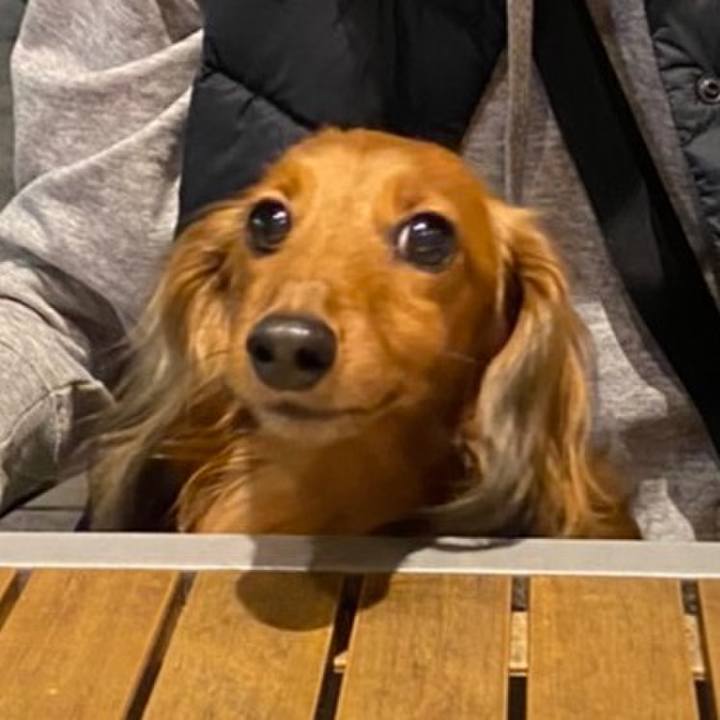 A52a3216 6ed7 41fe bb4d 62eaa9bb7101 1667695149231