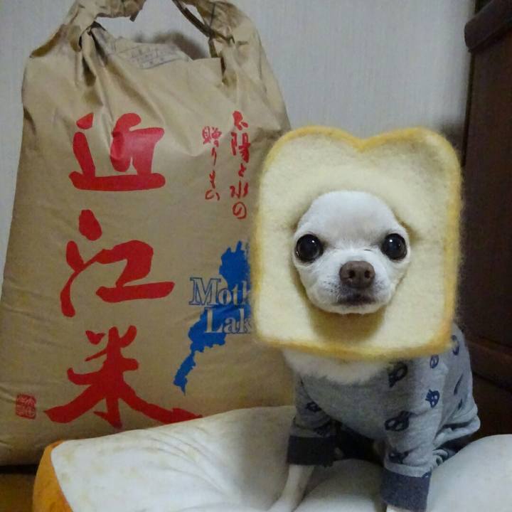 A52a5290 f205 47d8 8055 74a73b1d98d2 1508713026564