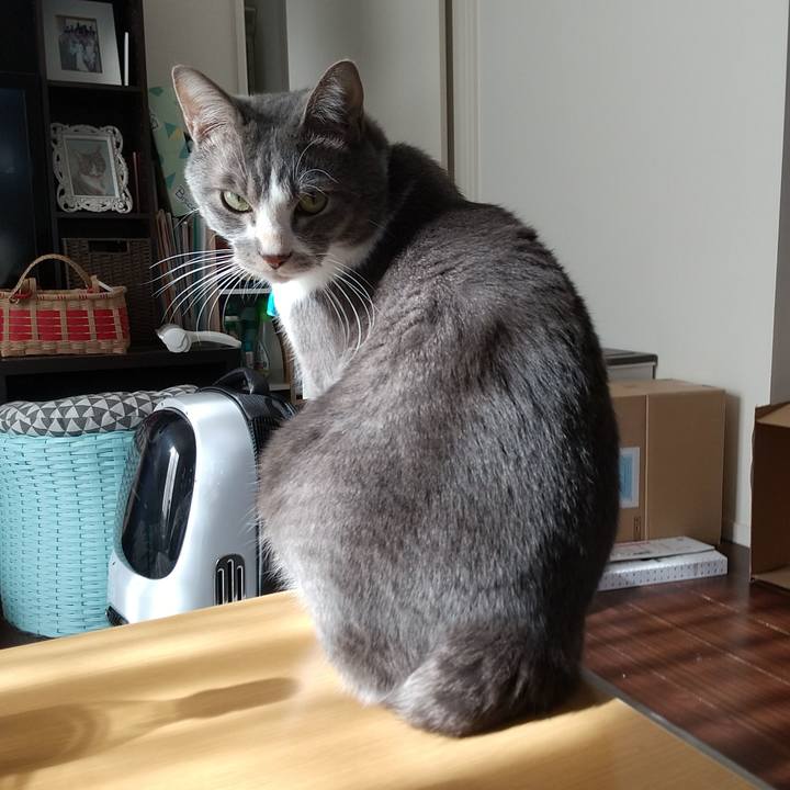 A52a6267 ef71 4ffb 9545 a51f78e59270 1637995057102