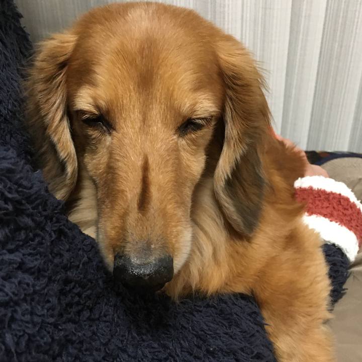 A52b013d d933 4520 b1a5 e4e78808900c 1609592394826