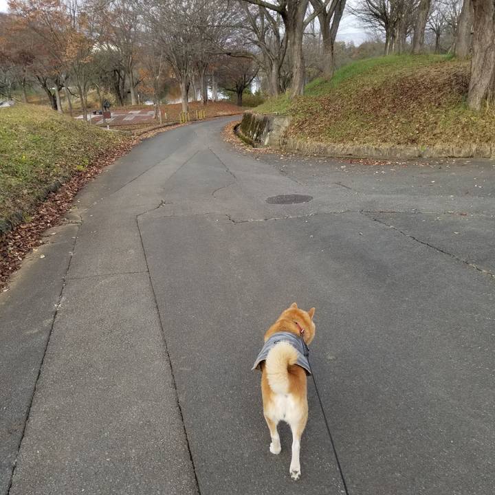 A52b1769 fe00 4d76 9bec cb5b25859793 1732085383293