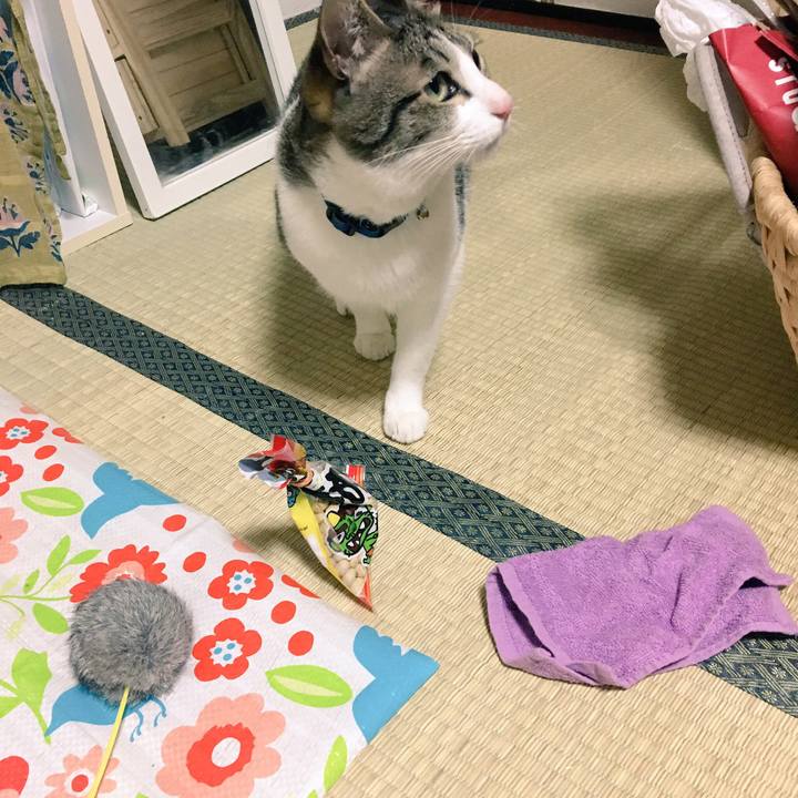 A52b89eb 72bd 44b8 8a48 dbda815bacad 1517665558063