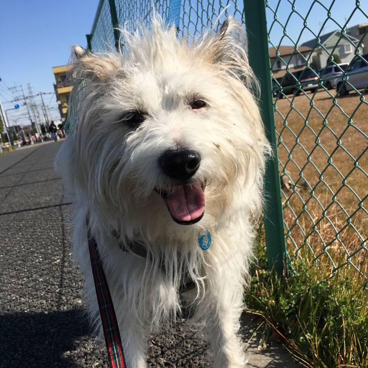 A52ba605 c58c 4b4f 8677 040e00eae6b3 1549590050852