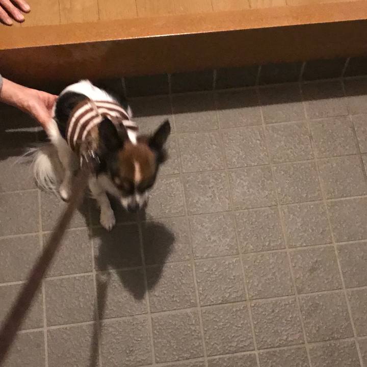 A52bb4b1 1e30 4d3f 968b 4f49290bdf9c 1510395871791