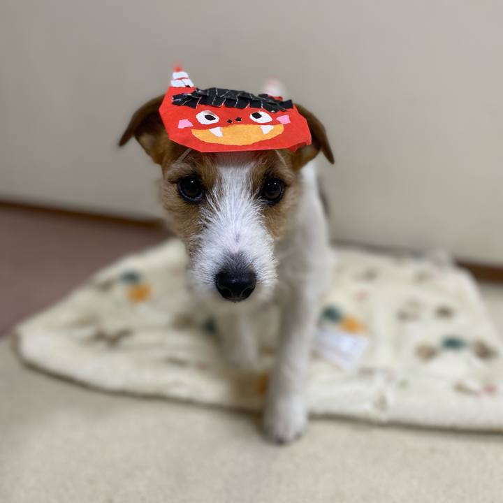 A52bbc9a 0272 49c4 8c2f 7e6219428e90 1738496921278