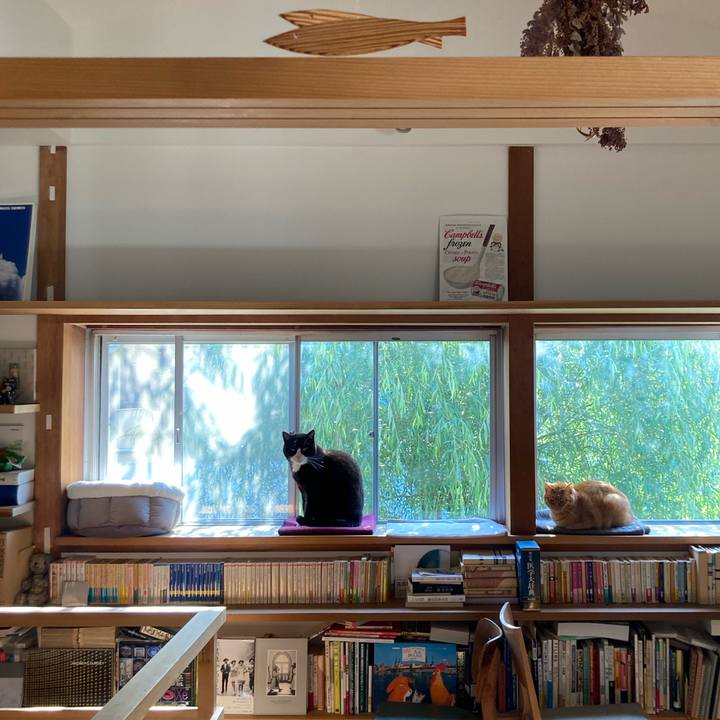 A52bd444 a2d8 489e bd01 b009c96ef8e6 1619479029167