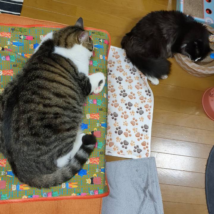 A52c1292 7425 41da bfc2 0fcd7b107a66 1685447740069