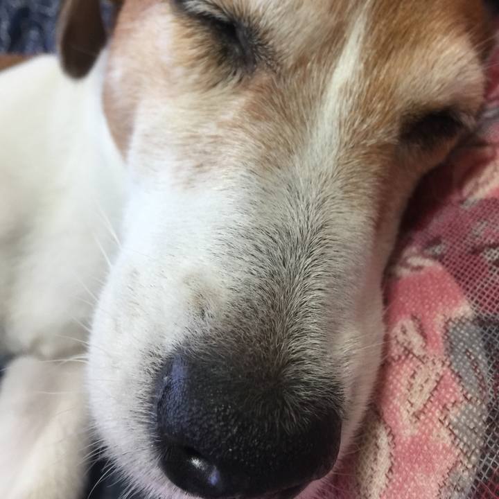 A52c390a 3db0 4378 890f 2f60abdd0a56 1530588599266