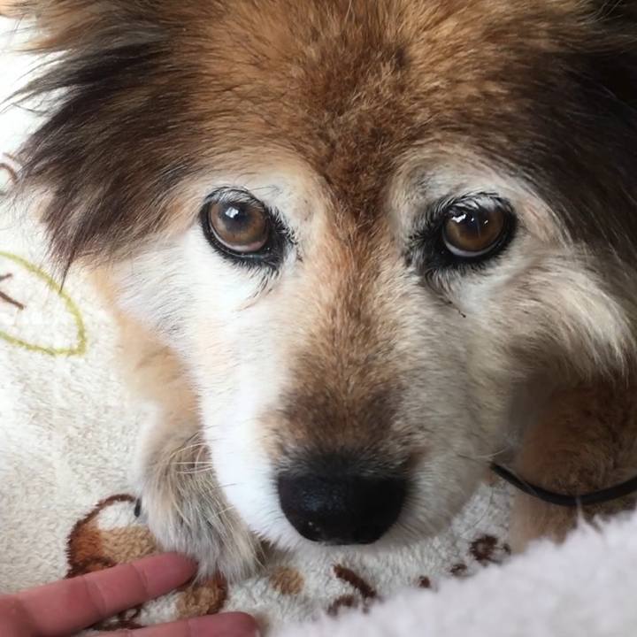 A52c5b90 2eee 482e 9673 8fd6e2463064 1550358291218