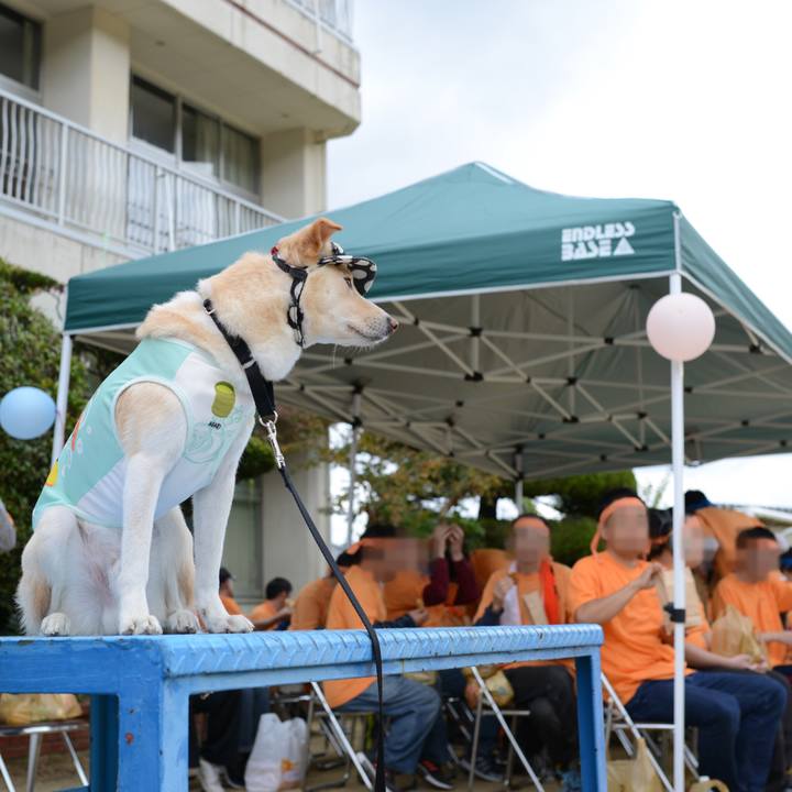 A52c8a09 a579 49e2 9d21 fa33126b3637 1540033172721