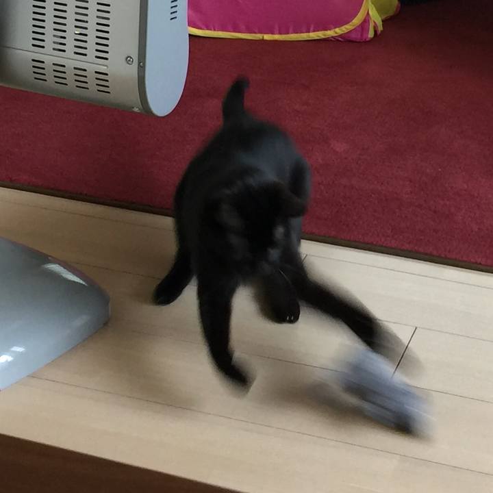 A52cb217 361f 4bf7 9fd9 f71170f19347 1519523219291