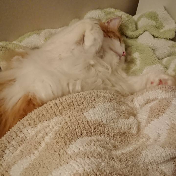 A52ceff3 0197 4830 b73e ba61ece7f162 1520265045697