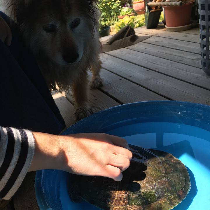 A52cf62a 5b7c 4497 b7f7 a14fc3ab9c06 1607650111439