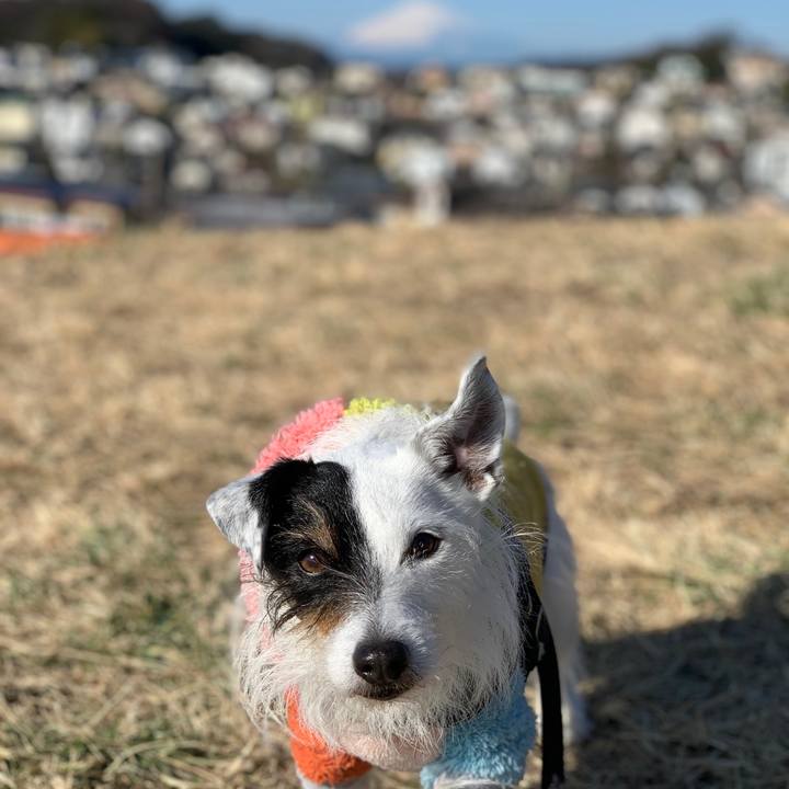 A52cf93c e73e 412e 98c6 412085e63b10 1706490963974